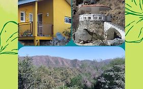La Soñada II
